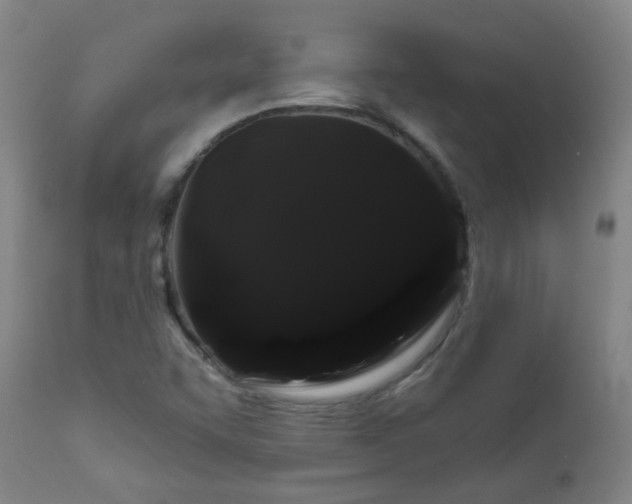 X0000111051455200906251422