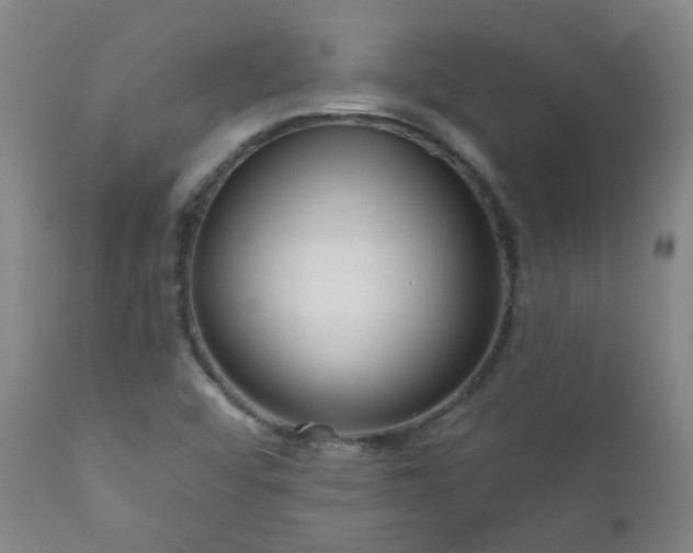X0000111051456200906251422