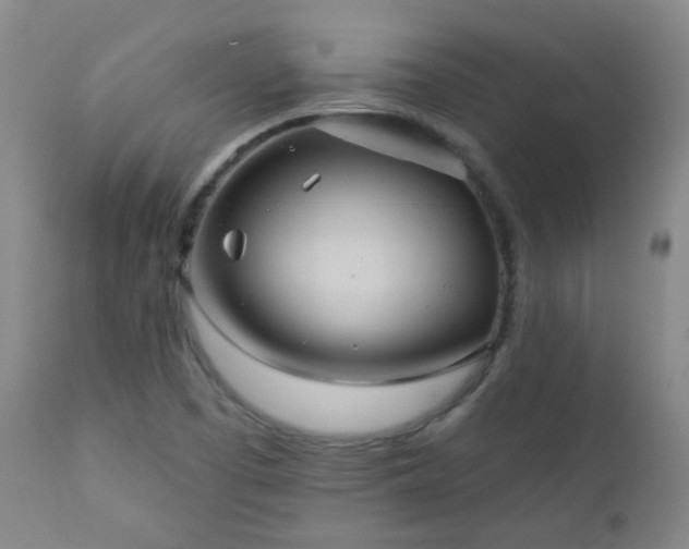 X0000111051457200906251422