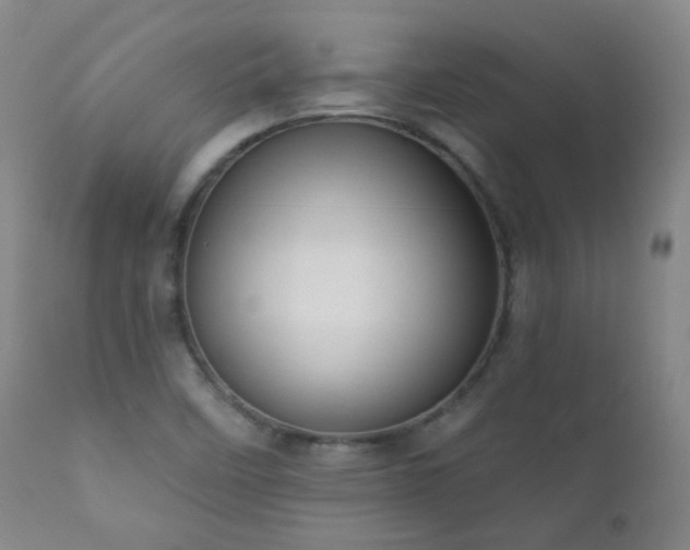 X0000111051458200906251422
