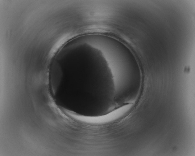 X0000111051459200906251422