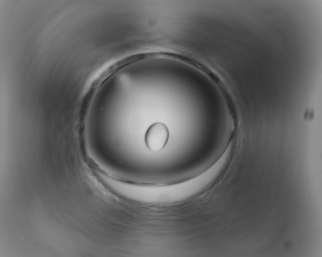 X0000111051460200906251422