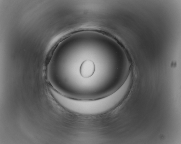 X0000111051461200906251422