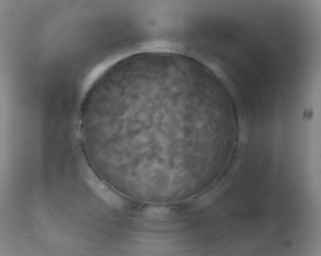 X0000111051462200906251422