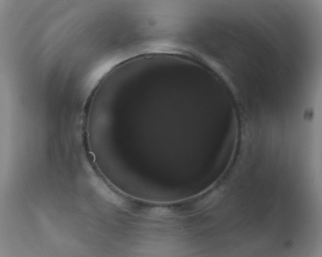 X0000111051463200906251422