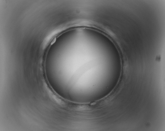 X0000111051464200906251422