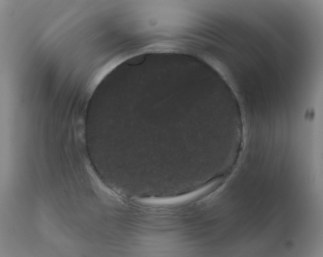 X0000111051465200906251422