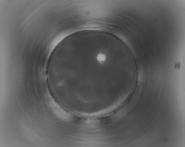 X0000111051466200906251422