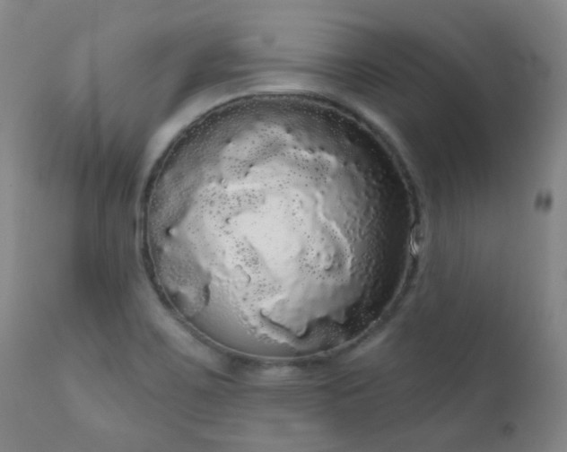 X0000111051467200906251422