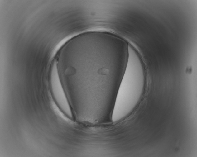 X0000111051468200906251422