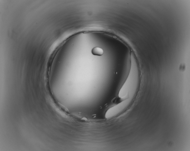 X0000111051469200906251422