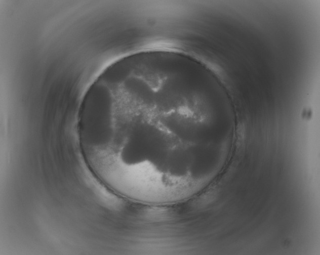 X0000111051470200906251422