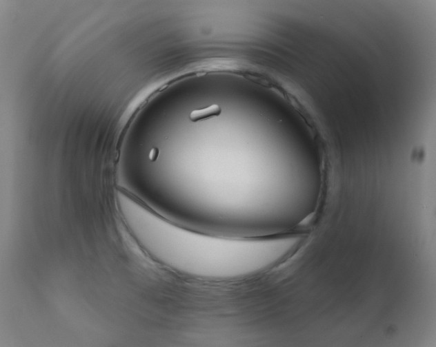 X0000111051473200906251422