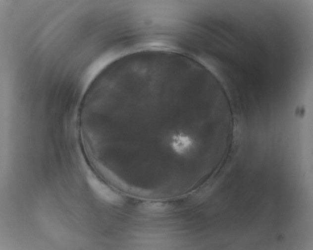 X0000111051474200906251422