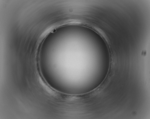 X0000111051475200906251422