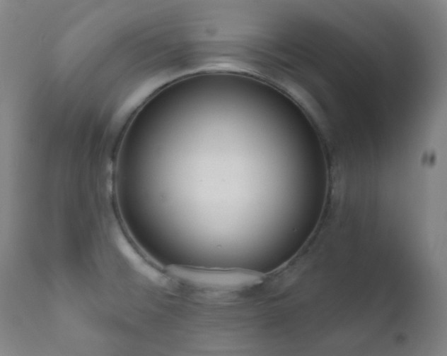 X0000111051476200906251422