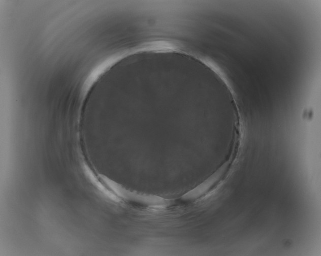 X0000111051477200906251422
