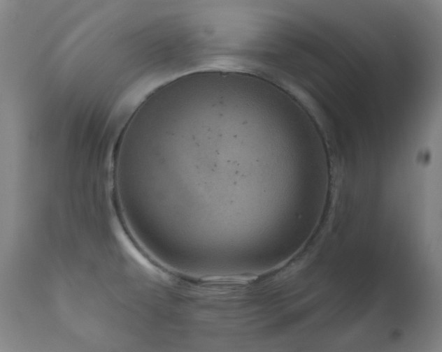 X0000111051479200906251422