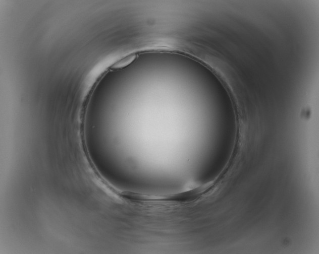 X0000111051480200906251422