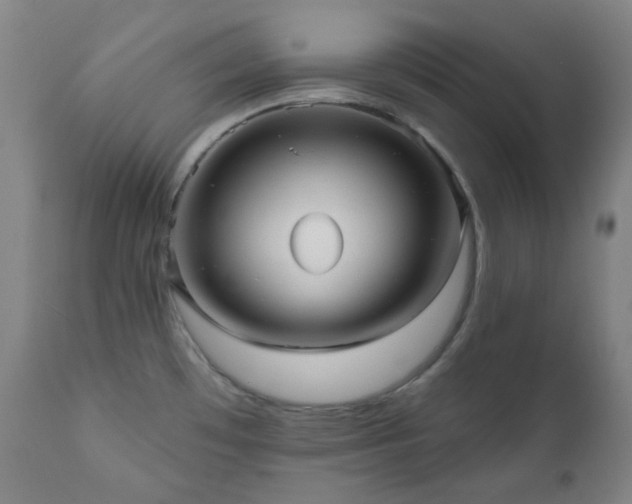 X0000111051481200906251422