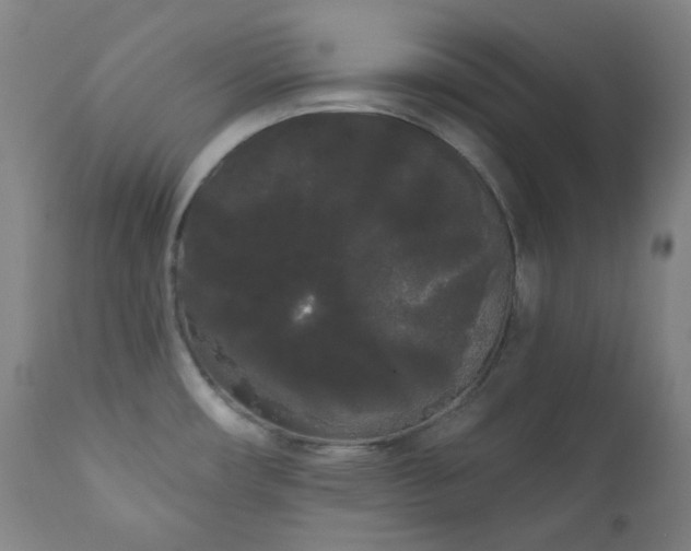 X0000111051482200906251422