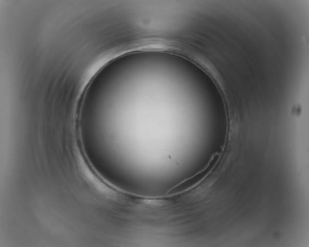 X0000111051483200906251422