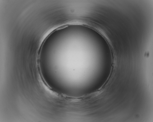 X0000111051484200906251422