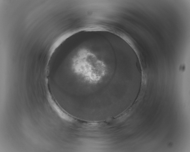 X0000111051485200906251422
