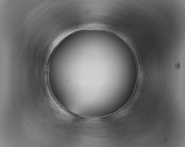 X0000111051486200906251421