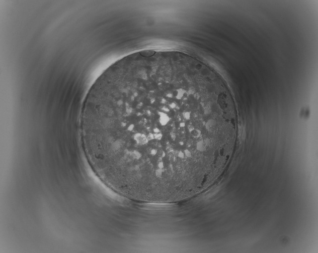 X0000111051487200906251421