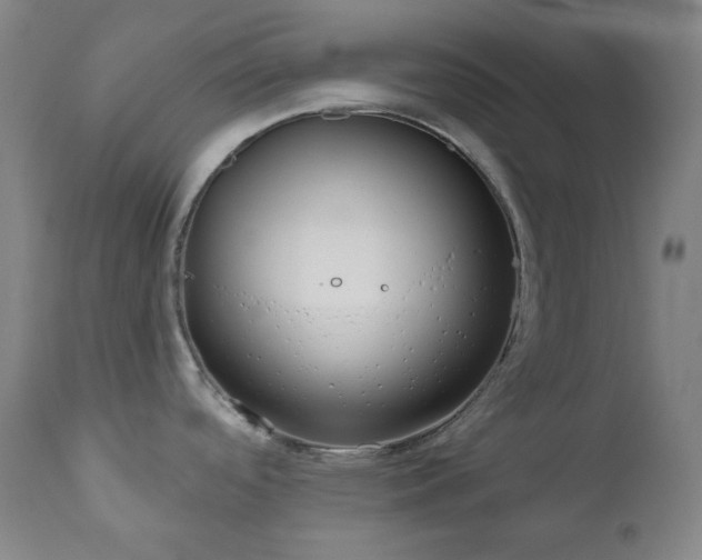 X0000111051488200906251421