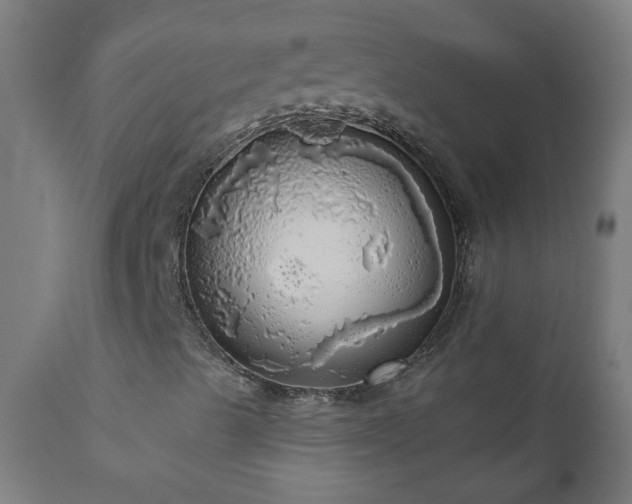X0000111051489200906251420