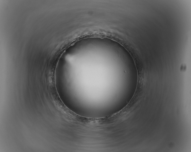 X0000111051490200906251420