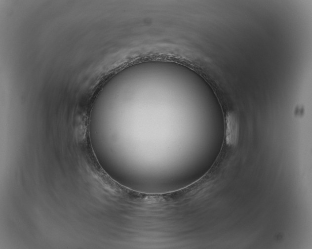 X0000111051491200906251421