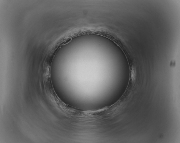 X0000111051492200906251421