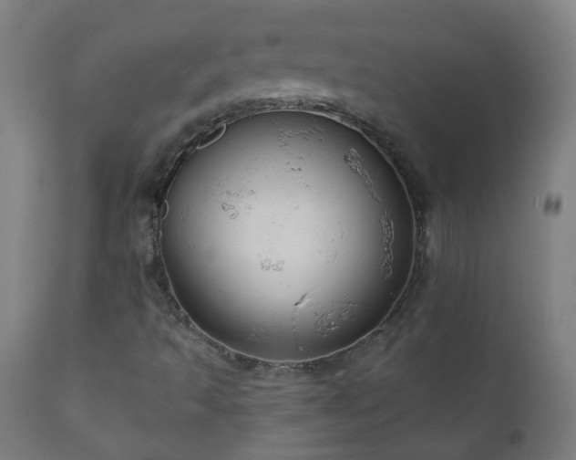 X0000111051493200906251421