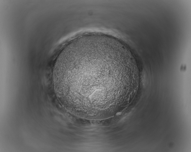 X0000111051494200906251421