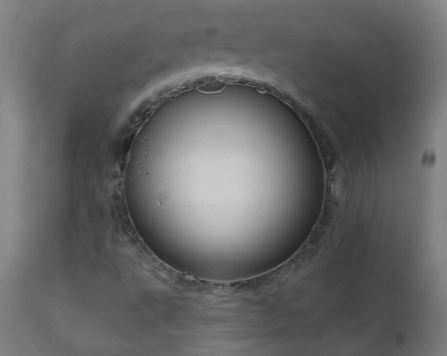 X0000111051495200906251421
