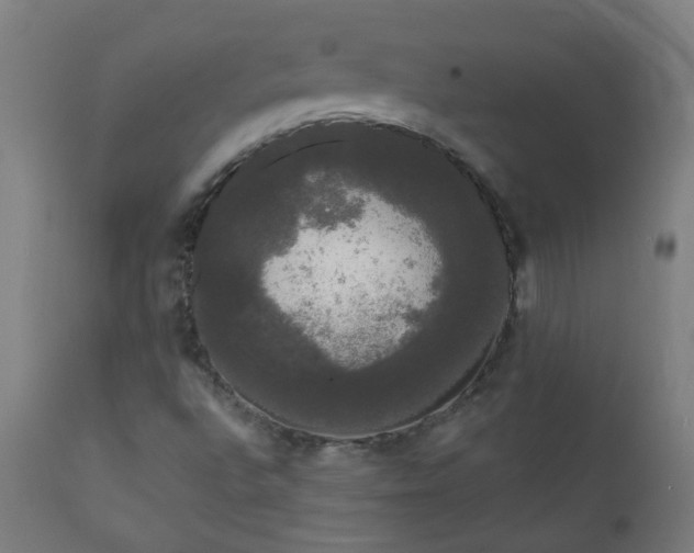X0000111051496200906251421