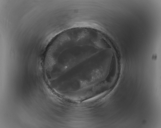 X0000111051497200906251421