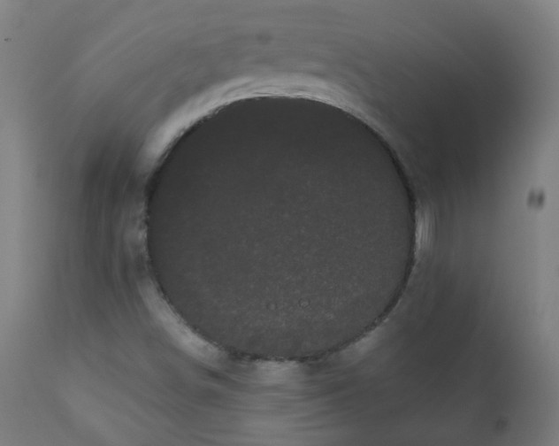 X0000111051498200906251421