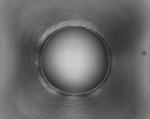 X0000111051499200906251421