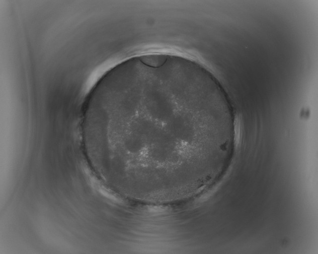X0000111051501200906251421