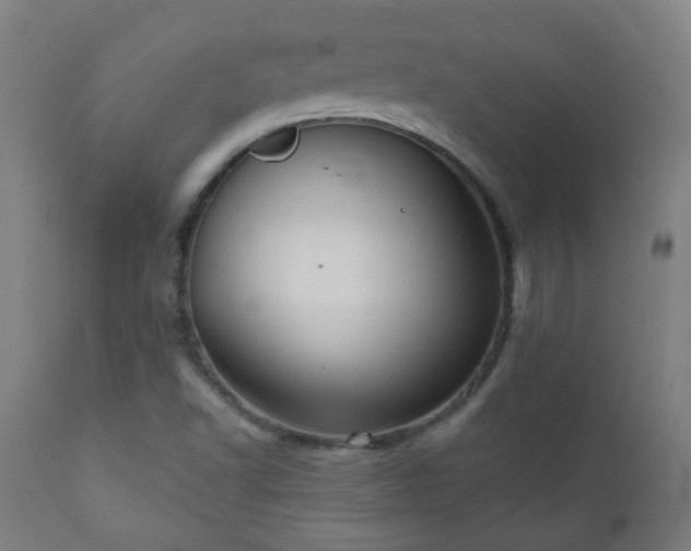 X0000111051502200906251421