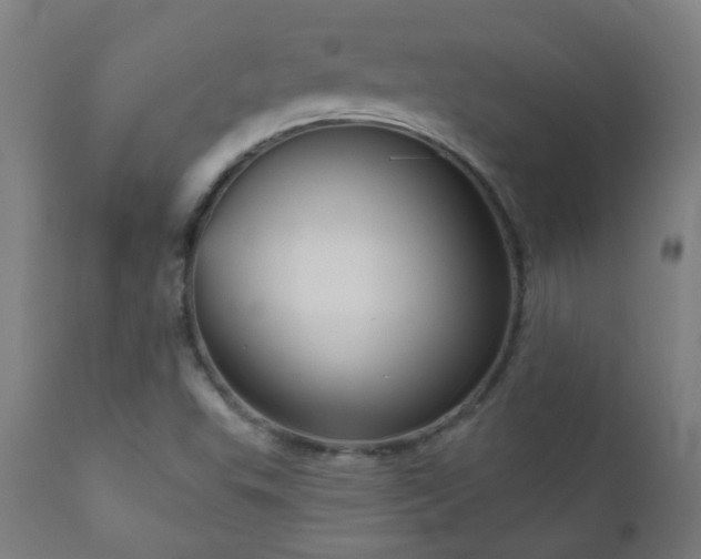 X0000111051503200906251421