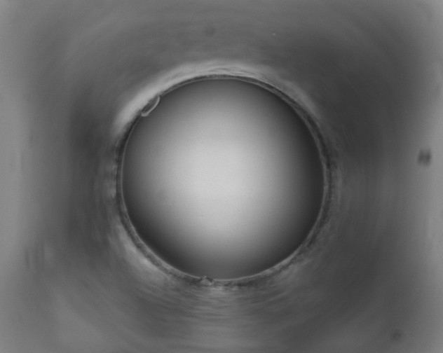 X0000111051504200906251421