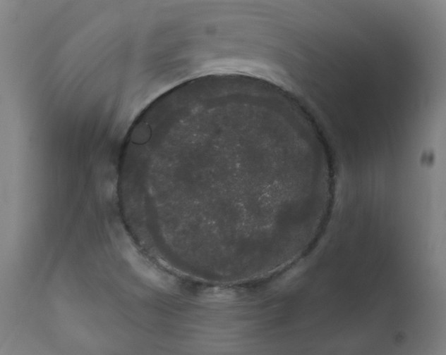 X0000111051505200906251421