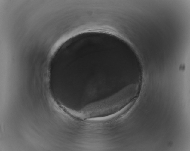 X0000111051506200906251421