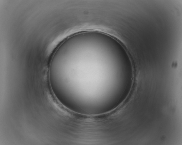 X0000111051507200906251421