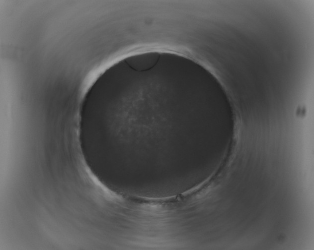 X0000111051508200906251421